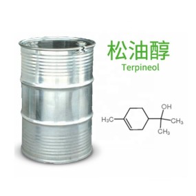 Terpinene-4-ol Supplier - 4-Carvomenthenol High Purity