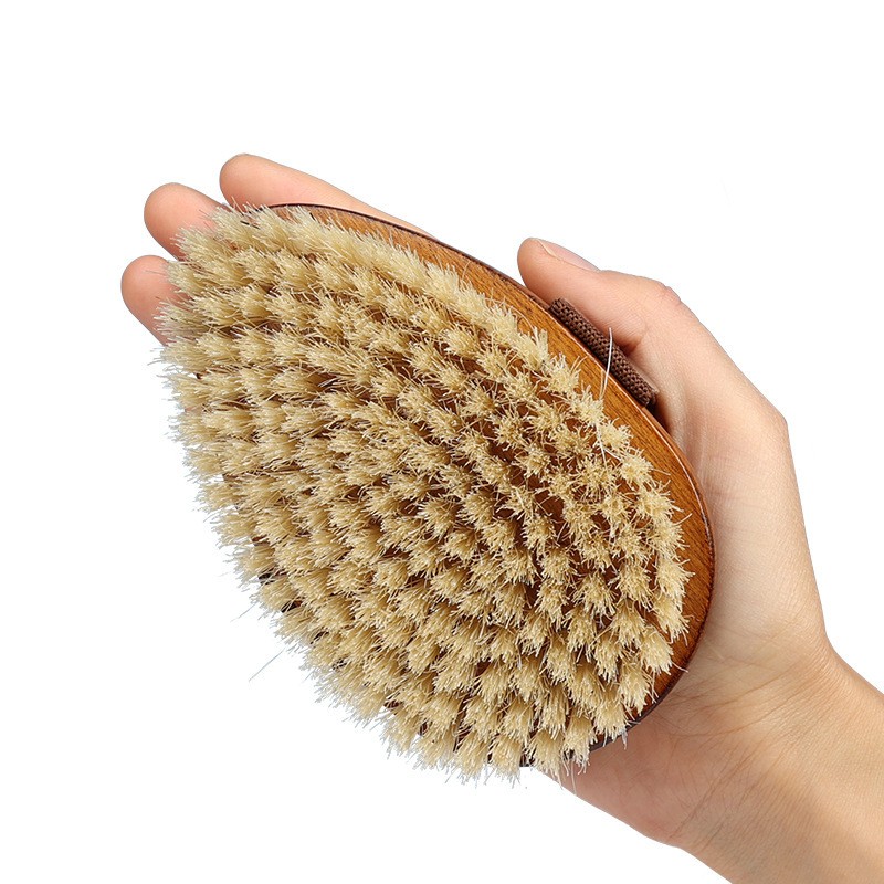 Factory Sale Body Back Scrub Shower Brush Natural Bristles Cellulite Exfoliating Body Smoother Skin Bath Brush