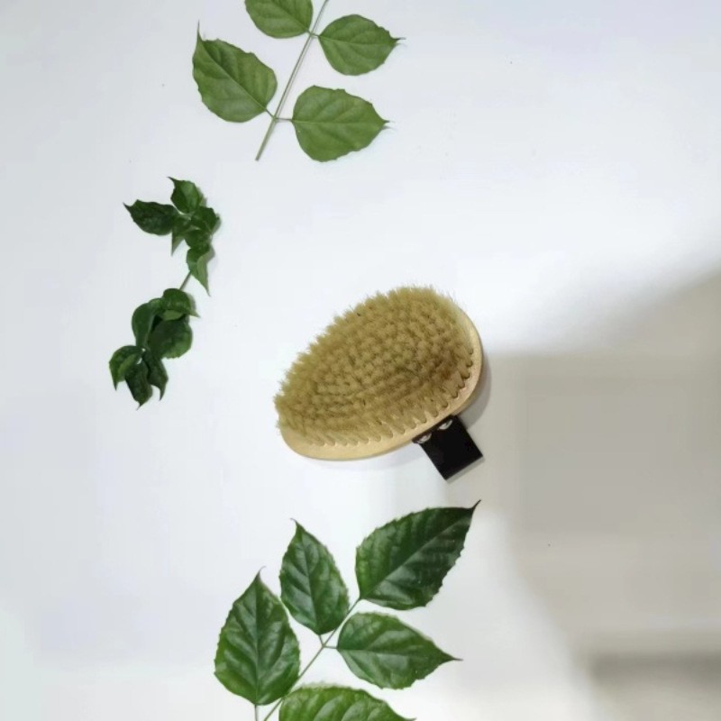 Factory Sale Body Back Scrub Shower Brush Natural Bristles Cellulite Exfoliating Body Smoother Skin Bath Brush