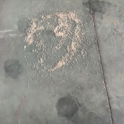 Polyamide Plastic Material Supplier - Customized Color Virgin Nylon 6