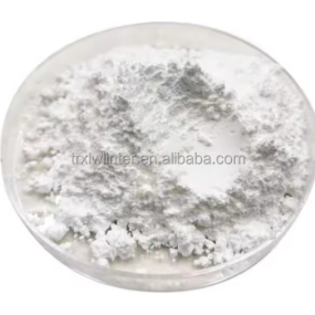 Titanium Dioxide Powder Manufacturer - White Inorganic Pigment CAS