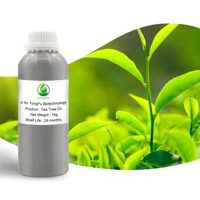 Tea Tree Essential Oil Supplier - 100% Pure Aromatherapy Diffuser