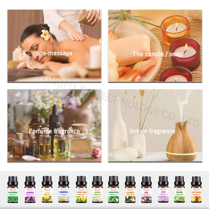 Wormwood Essential Oil Factory - Wholesale Bulk 100% Pure Natural