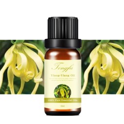 Ylang Ylang Oil Factory - Wholesale Best Quality Aromatherapy