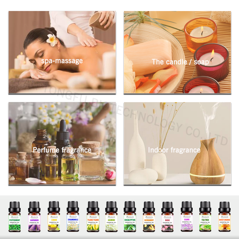 Vanilla Essence Oil Manufacturer - Wholesale Bulk for Candle Making