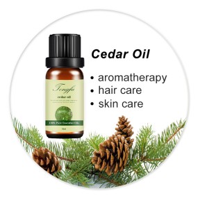 Cedarwood Oil Supplier - Hot Selling Pure Organic for Aromatherapy
