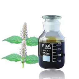 Patchouli Oil Manufacturer - 100% Pure Organic for Perfume