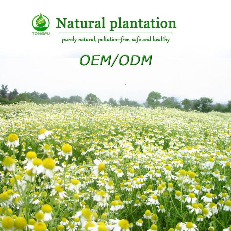 Garlic Essential Oil Manufacturer - Wholesale OEM 100% Pure Natural