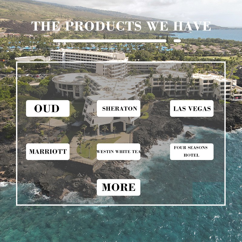 Hotel Aroma Oil Supplier - High Concentration Branded Car Fragrances