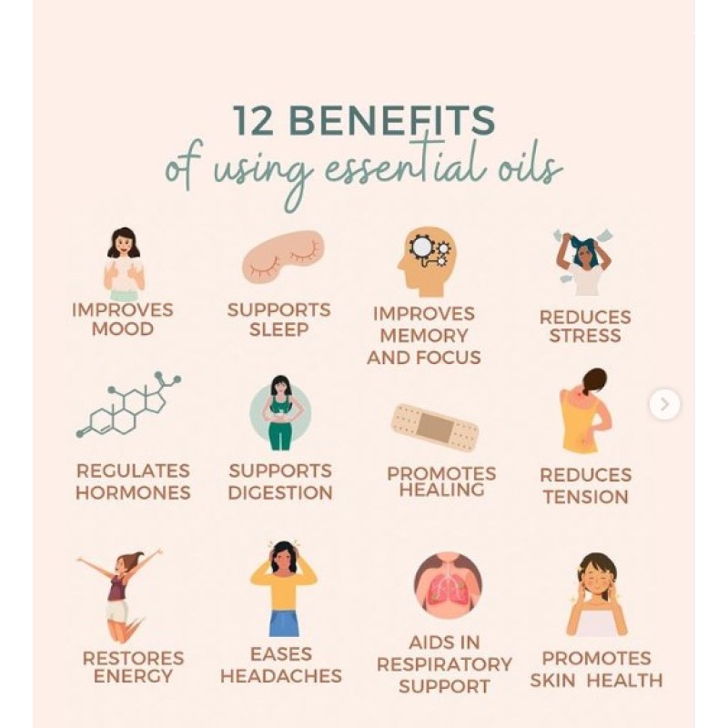 Wormwood Essential Oil Factory - Wholesale Bulk 100% Pure Natural