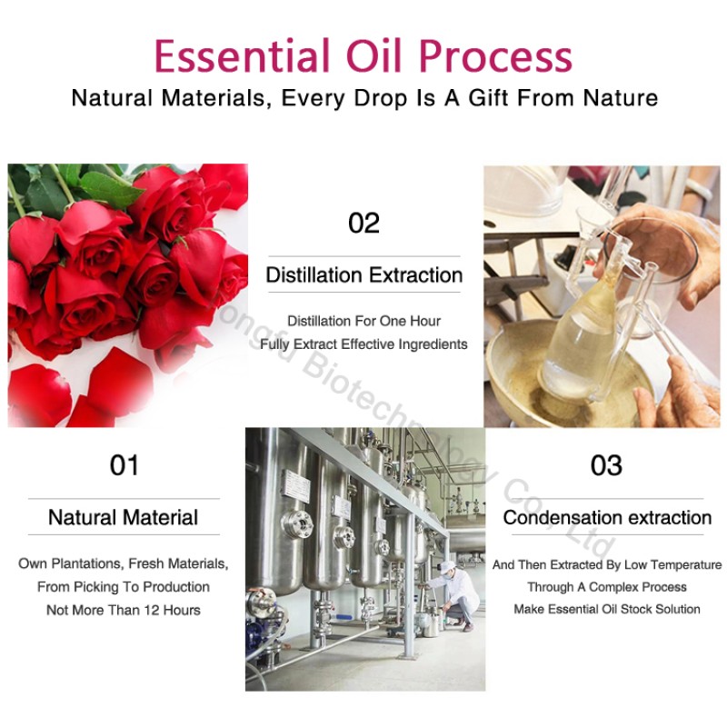 Rose Oil Supplier - Private Label 100% Pure Natural Damas