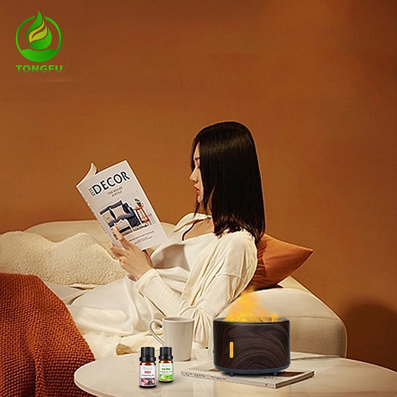 Air Diffuser Manufacturer - Portable Flame Humidifier Household