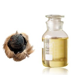 Musk Oil Supplier - Factory Wholesale Best Price for Perfume