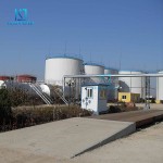 Food & Feed Additives