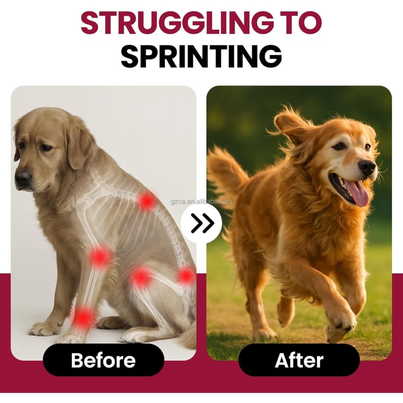 Hip Joint Chews Supplier - More Effective Than Glucosamine