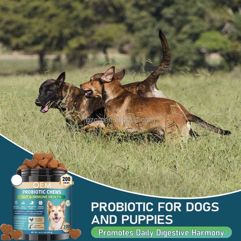 Dog Digestive Supplement Factory - Pumpkin Probiotics Gut Health
