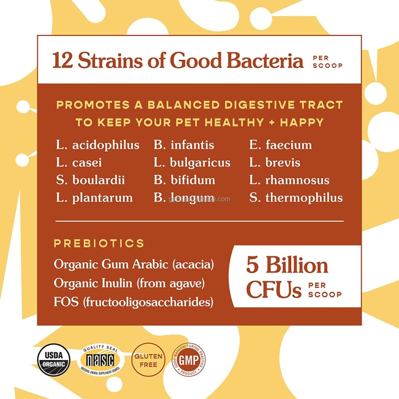 Probiotics for Pets Supplier - Powder 5 Billion CFUs Strength