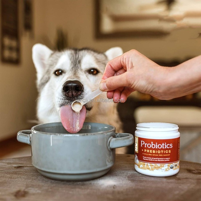 Probiotics for Pets Supplier - Powder 5 Billion CFUs Strength