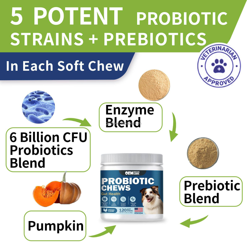 Dog Probiotic Chews Manufacturer - Digestive Enzymes Prebiotics