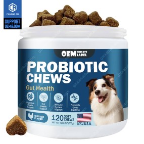 Dog Probiotic Chews Manufacturer - Digestive Enzymes Prebiotics