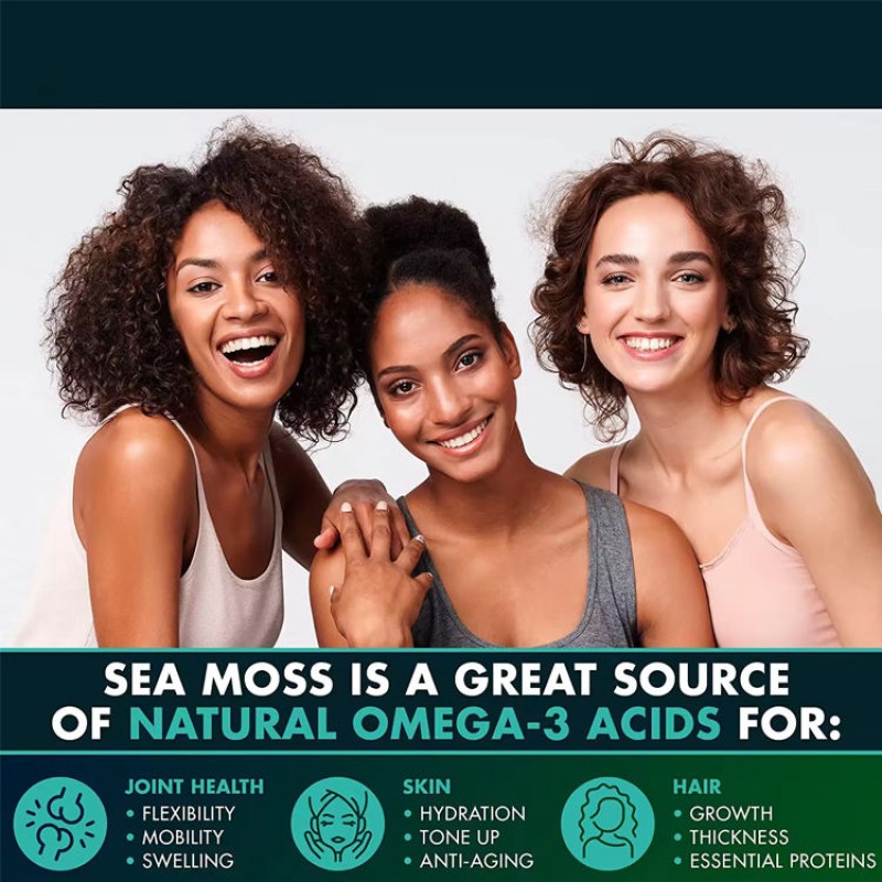 Sea Moss Capsules Factory - Irish Burdock Root Superfood Immunity