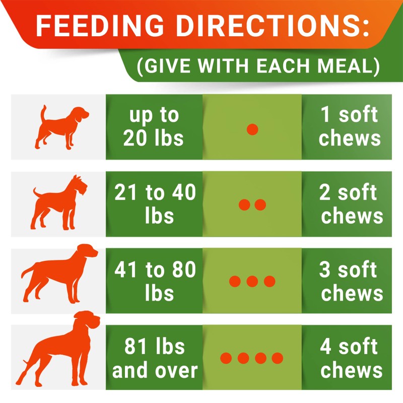 Dog Probiotic Factory - 3 in 1 Digestive Health Diarrhea Relief