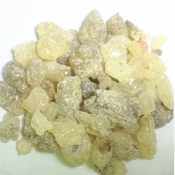 Damar Gum Resin Supplier - High Quality 100% Natural Best Price