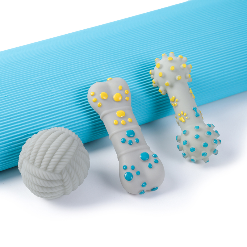 Dog Chew Toy Supplier - TPR Non-Toxic Bone Teeth Cleaning