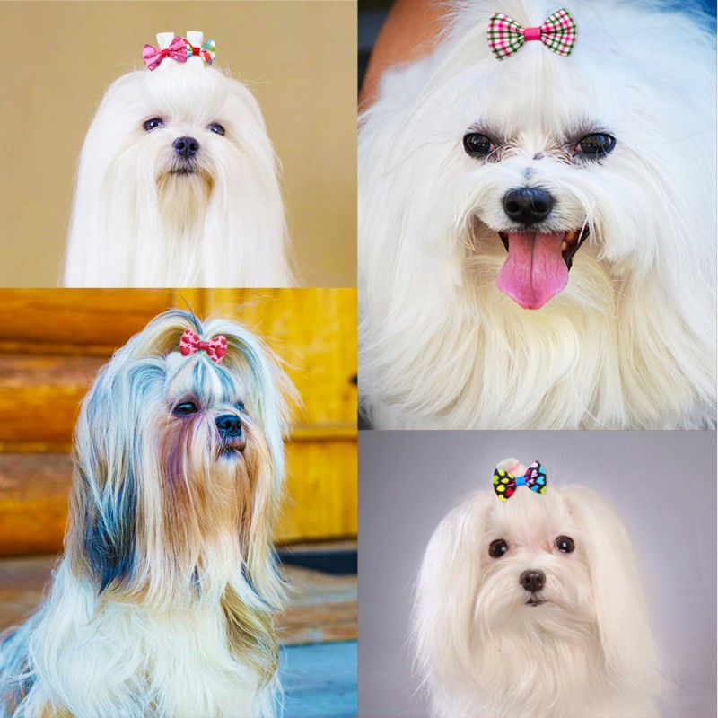 Pet Hair Accessories Factory - Princess Style Elegant