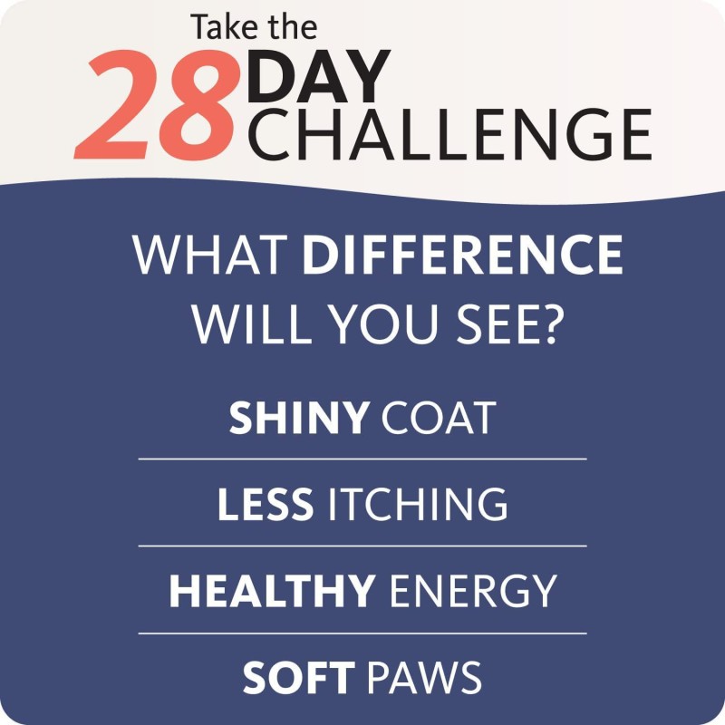 Salmon Oil for Dogs Factory - Human Grade Nutritional