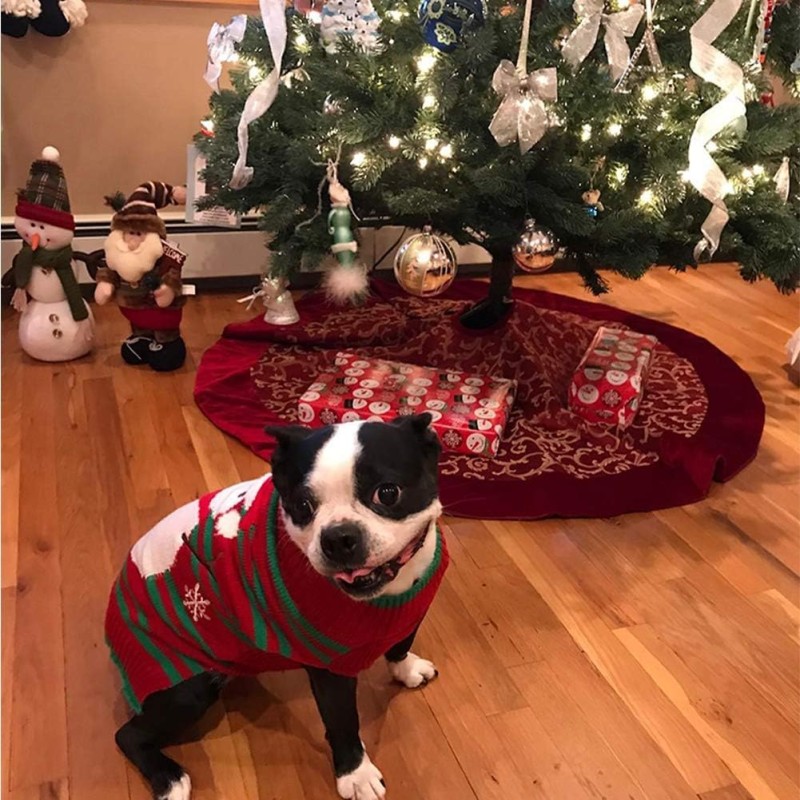 Pet Sweater Manufacturer - Holiday Winter Clothing All Sizes