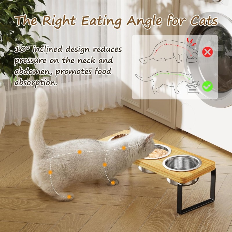 Cat Bowls Factory - 304 Stainless Steel Tilted