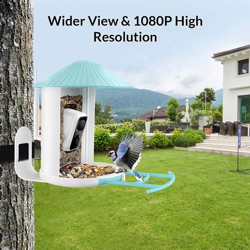 Bird House Supplier - Solar System Window Suction