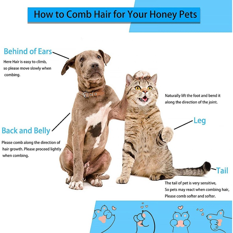 Pet Hair Removal Brush Manufacturer - Long Hair Grooming Bath