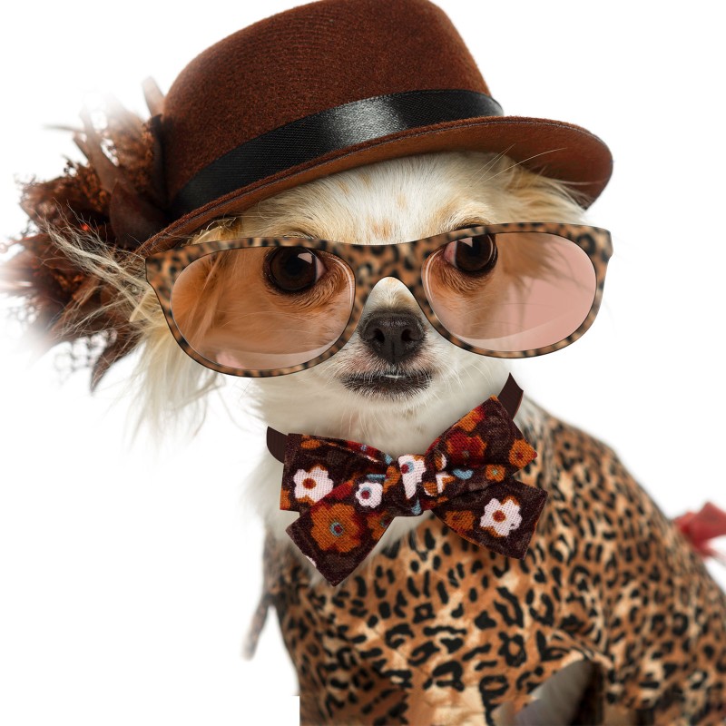 Dog Collar Supplier - Cotton Bow Tie Comfortable Daily