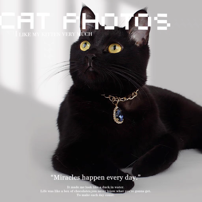 Pet Necklace Supplier - Gemstone Heart Shape Bling