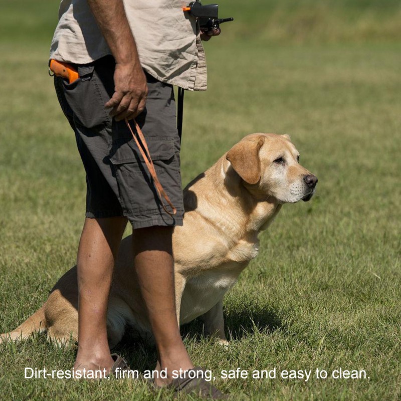 Dog Treat Pouch Supplier - Training Snack Reward Self-Closing