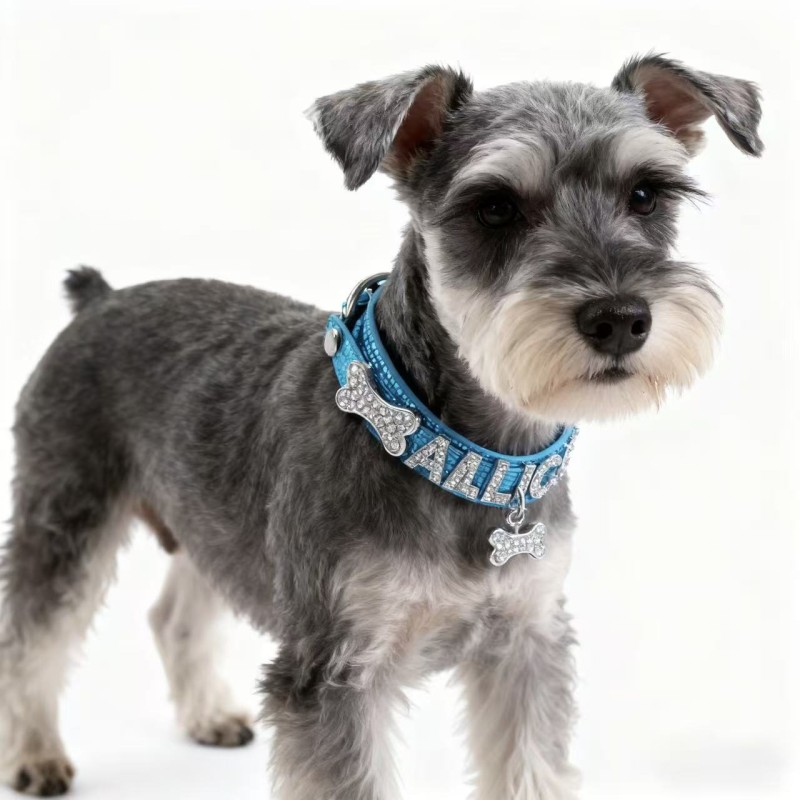 Cat Collar Supplier - PU Material Bling Crystal Buckle