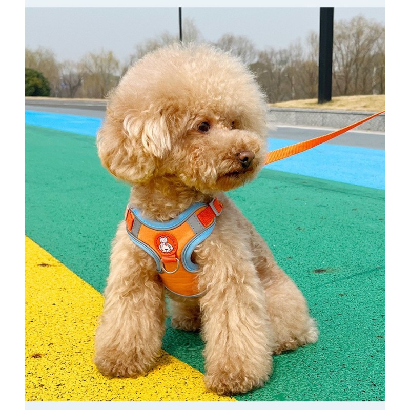 Dog Harness Supplier - Soft Mesh Puppy Outdoor Walking