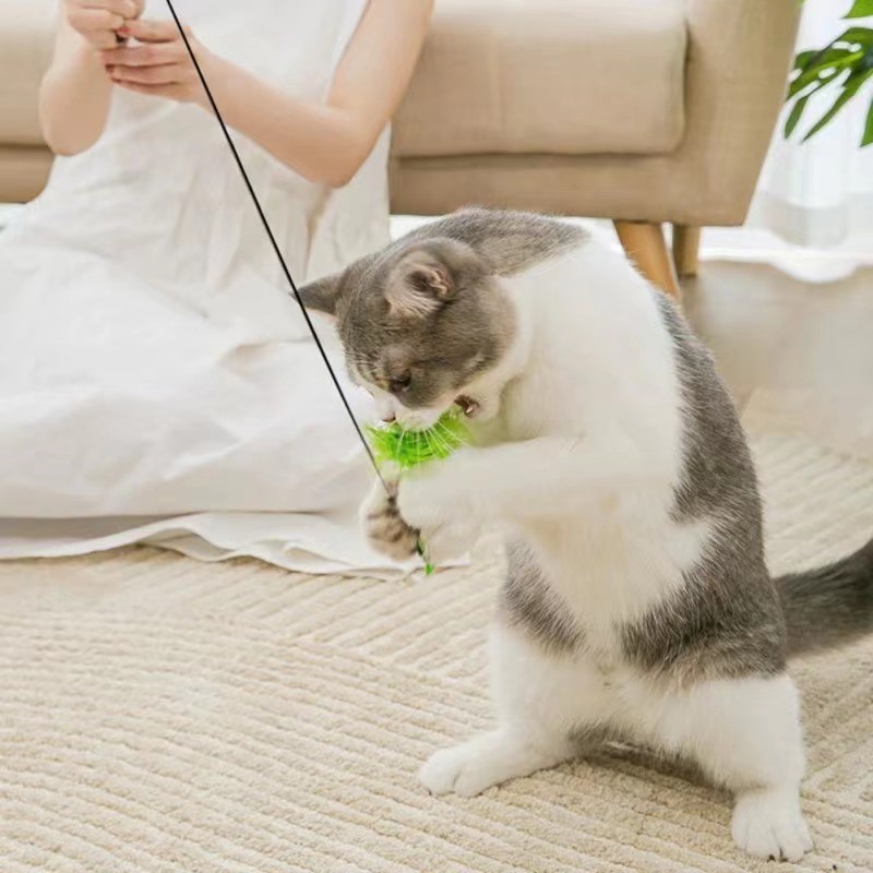 Bird Simulation Cat Toy Factory - Feathers Wand Suction Base