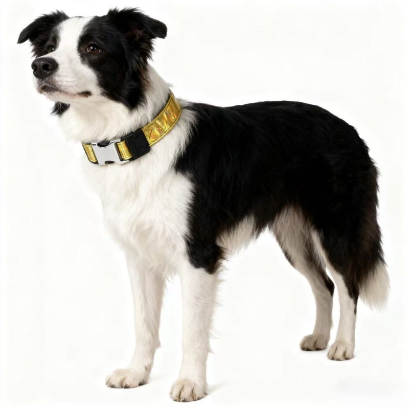 Dog Collar Supplier - Reflective Nylon Adjustable Outdoor