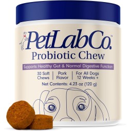 Dog Probiotics Manufacturer - Gut Health Digestive Soft