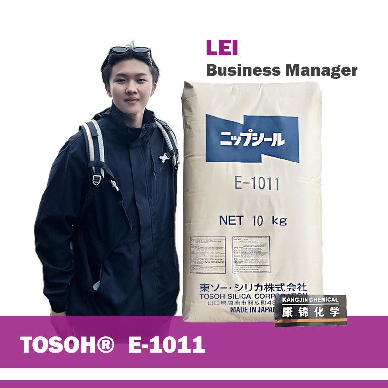 Matting Agent Manufacturer - E-1011 Silicon Dioxide for Coatings Inks