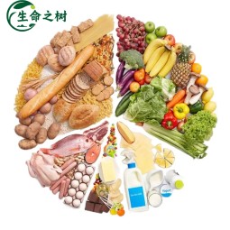 Soybean Fiber Supplier - Dietary Polysaccharide Texture Improvement