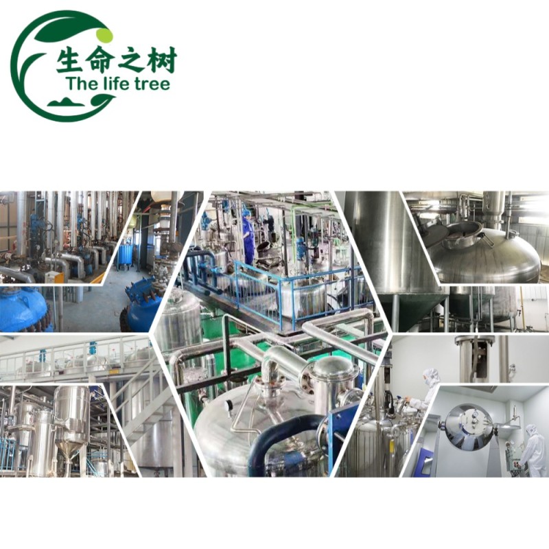 Citric Acid Anhydrous Manufacturer - Premium Food Additive Cost Effective
