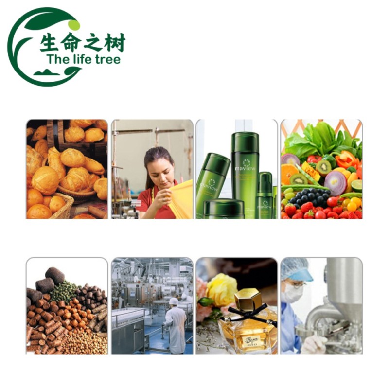 STPP Supplier - Food Additive Water Retention Frozen Seafood