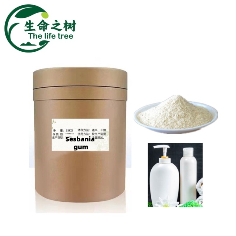 Sesbania Gum Manufacturer - Food Grade Thickening Additives