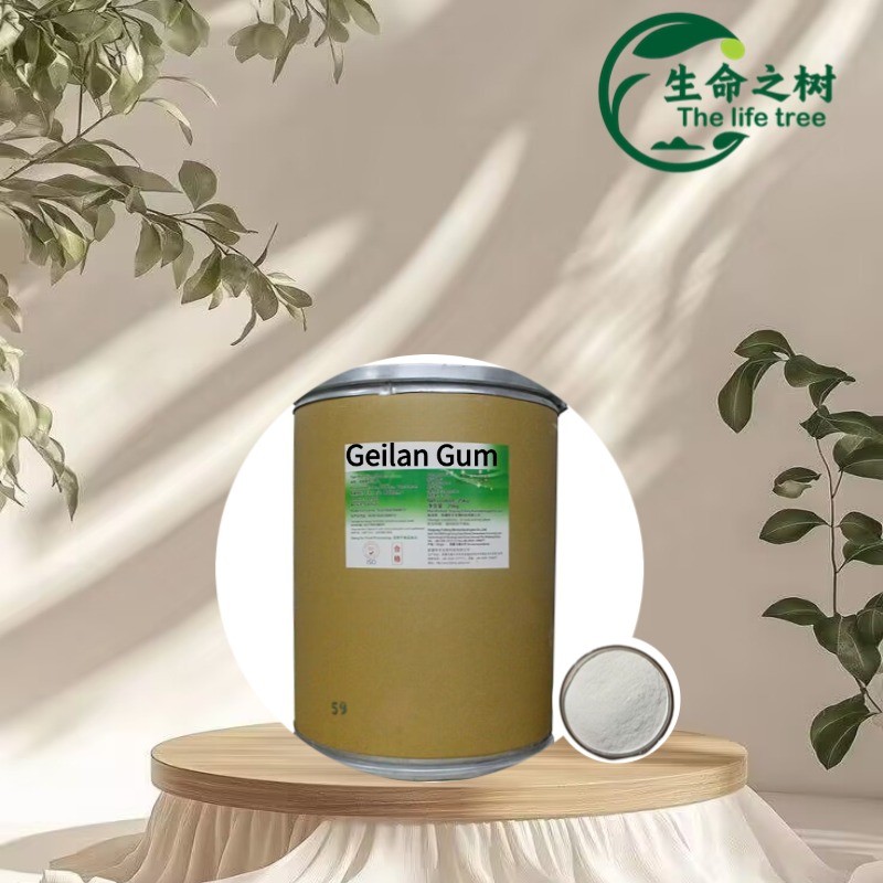 Gellan Gum Factory - Food Grade Additive Thickener Low Price