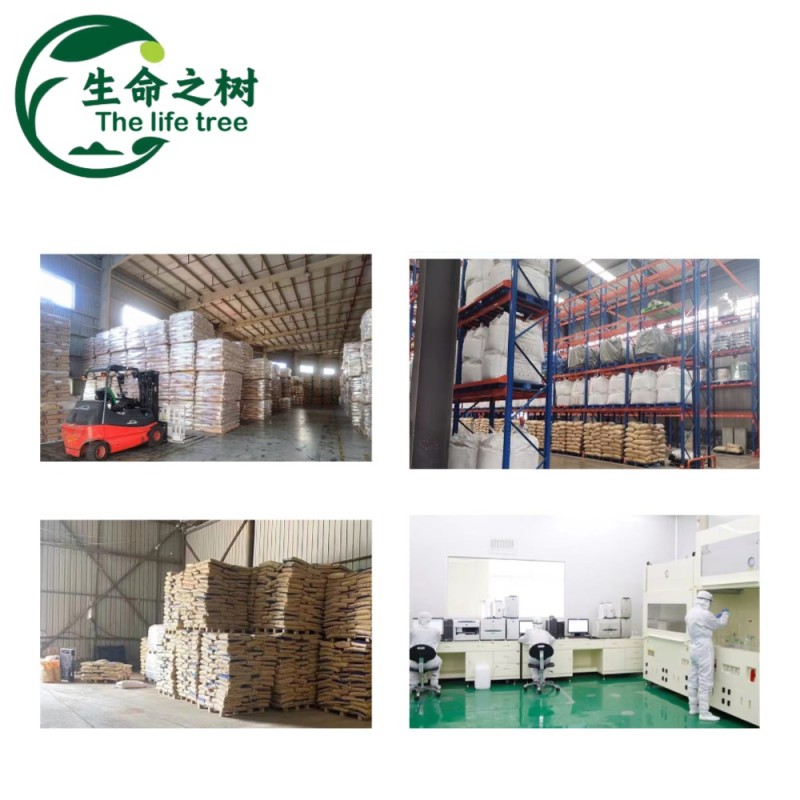 Fruit Powder Supplier - Thickeners Sweeteners Stabilizers Bulk