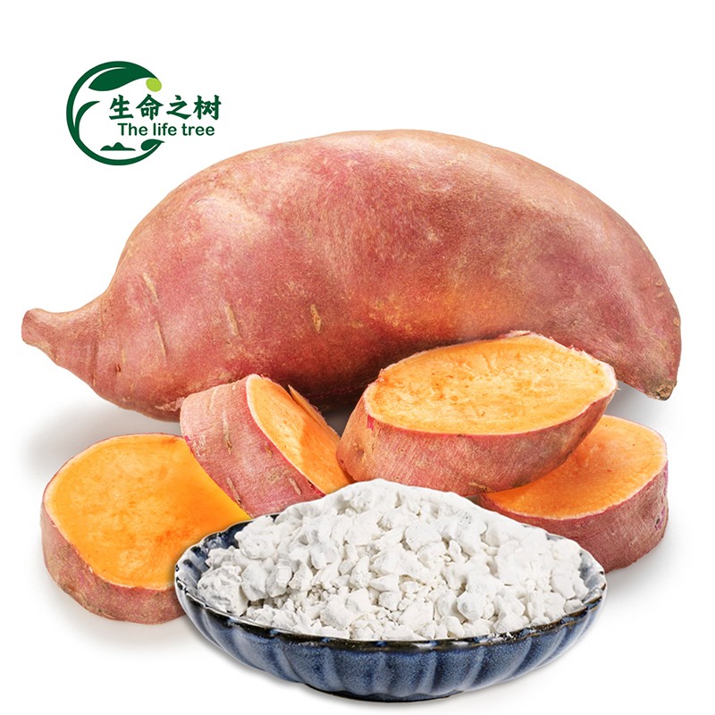 Sweet Potato Starch Factory - High Export Standard Bag Packaging